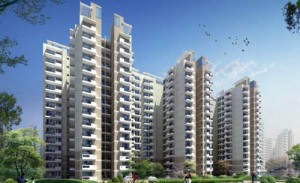 CHD Developers, Quarterly results, Gurgaon real estate news, Chandigarh real estate news, Gurgaon Avenue 71, realty news india, property news india, track2realty, track2media, ravi sinha