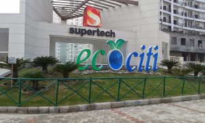 Supertech Ecociti, Supertech Noida Sector 137 Project, Supertech fraud, Supertech cheating, Supertech buyers' grievances, Supertech complaints, Cases against Supertech, Supertech projects delayed, India real estate news, Indian realty news, Real estate news India, Indian property market news, Track2Realty, RK Arora