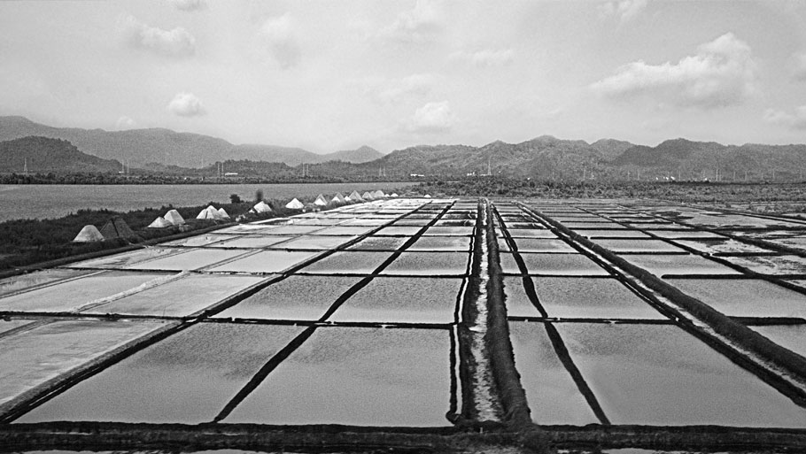 Salt Pans Land Mumbai